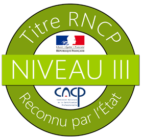 RNCP Niveau 3